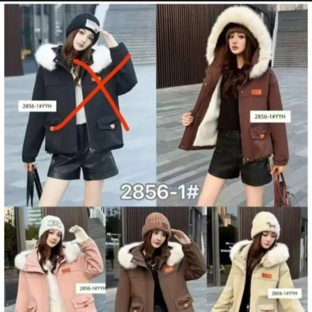 Jaket Wanita Bahan Parasut Kembung WK 2856